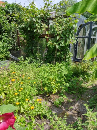 Medium property photo - Valentijnkade 119, 1095 JL Amsterdam